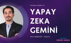 Yapay Zeka Gemini