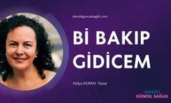 Bi Bakıp Gidicem