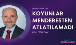 KOYUNLAR MENDERES'TEN ATLATILAMADI