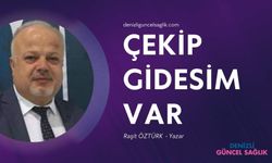 Çekip Gidesim Var