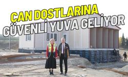 Merkezefendide can dostları sıcak yuvalarına kavuşacak