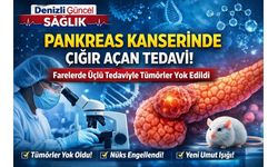 Bilim İnsanlarından Pankreas Kanseri Tedavisinde Çığır Açan Üçlü Tedavi Başarısı