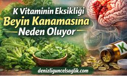 K Vitamininin Eksikliği Beyin Kanamasına Neden Oluyor