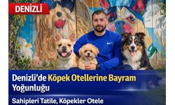Sahipleri Tatile Gidiyor, Köpekler Otele: Denizli’de Köpek Otellerine Yoğun Talep