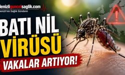 Batı Nil Virüsü Vakaları Artıyor! Uzmanlar Bu Belirtilere Karşı Uyardı