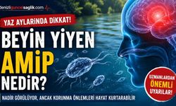 Yaz Aylarında Görülen "Beyin Yiyen Amip" Tehlikesi Hakkında Bilinmesi Gerekenler