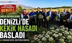 Türkiye'nin Kekik Başkenti Denizli'de Hasat Başladı