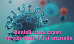 Denizli vaka sayısı en çok artan 10 il arasında