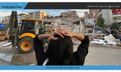 Denizli Deprem Konusunda Sigortalı mı?