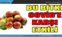 Limondan 20 Kat Daha Fazla C Vitamini Var