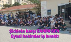 Şiddete karşı SAHİM-SEN üyesi hekimler iş bıraktı