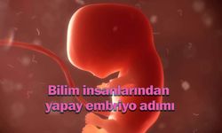 Bilim insanlarından yapay embriyo adımı