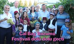 Çal Bağ Bozumu Kültür ve Sanat Festivali dolu dolu geçti