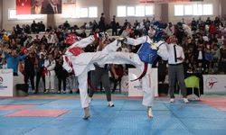Taekwondo Turnuvasında 15 ilden 400 sporcu mücadele etti