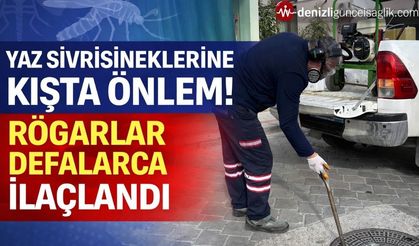 Pamukkalede Sivrisineklere Karşı Mücadele Kış Ayında Başladı