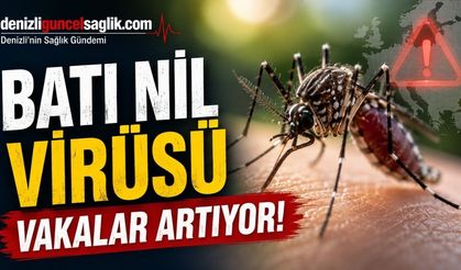 Batı Nil Virüsü Vakaları Artıyor! Uzmanlar Bu Belirtilere Karşı Uyardı