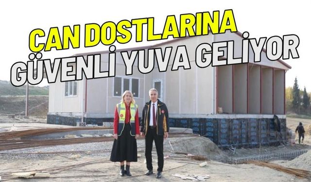Merkezefendide can dostları sıcak yuvalarına kavuşacak