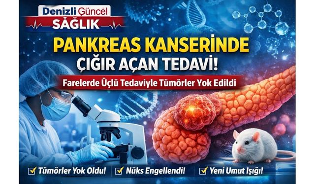 Bilim İnsanlarından Pankreas Kanseri Tedavisinde Çığır Açan Üçlü Tedavi Başarısı