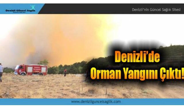 Denizli’de Orman Yangını! Belediye Vatandaşlardan Yardım İstedi