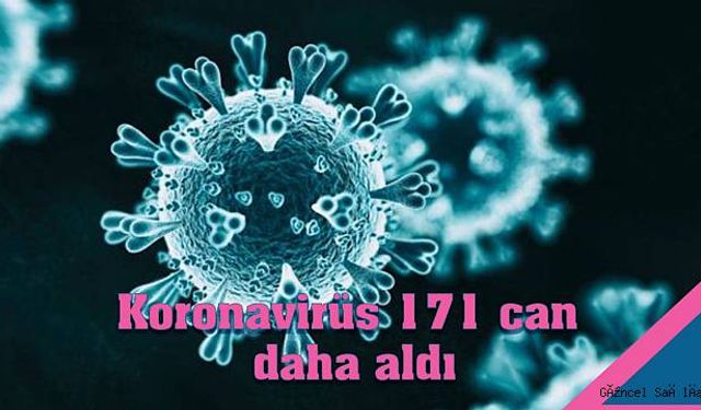Koronavirüs 171 can daha aldı