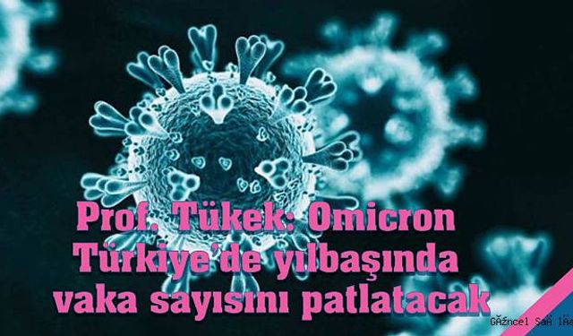 Prof. Tükek: Omicron Türkiye’de yılbaşında vaka sayısını patlatacak