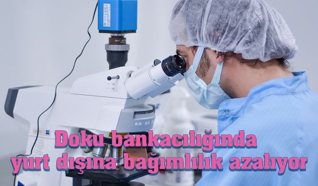 Doku Bankacılığında Dışa Bağımlılık Azalıyor