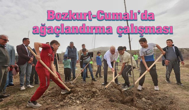 Bozkurt-Cumalı’da ağaçlandırma çalışması