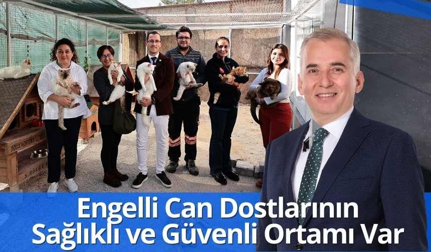 Bu Proje Engelli Can Dostlarına Umut Olacak