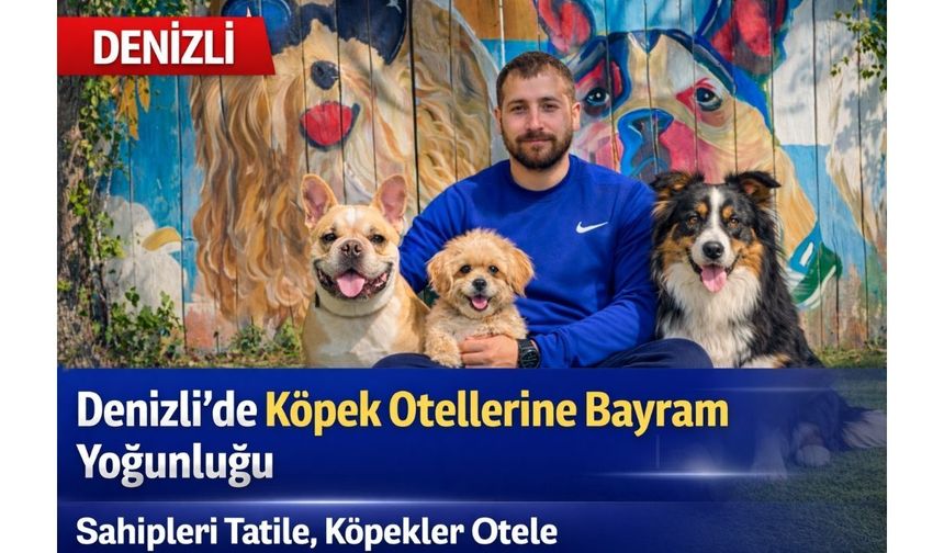 Sahipleri Tatile Gidiyor, Köpekler Otele: Denizli’de Köpek Otellerine Yoğun Talep