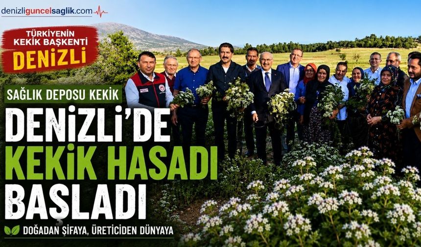 Türkiye'nin Kekik Başkenti Denizli'de Hasat Başladı