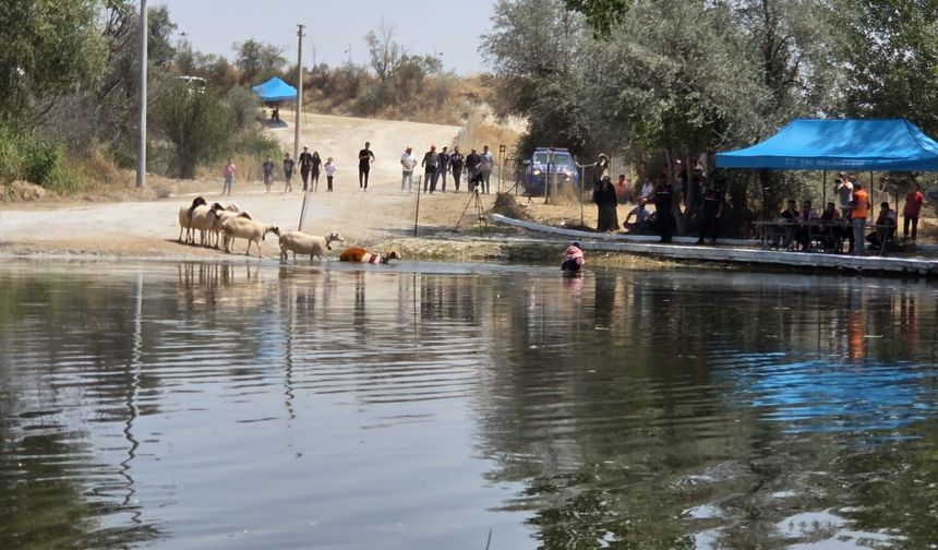 SUDAN KOYUN GEÇİRMENİN ÖTESİ