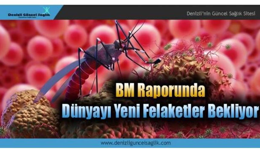BM Raporunu Sundu, Dünyaya Sivrisinekler Virüs Yayacak