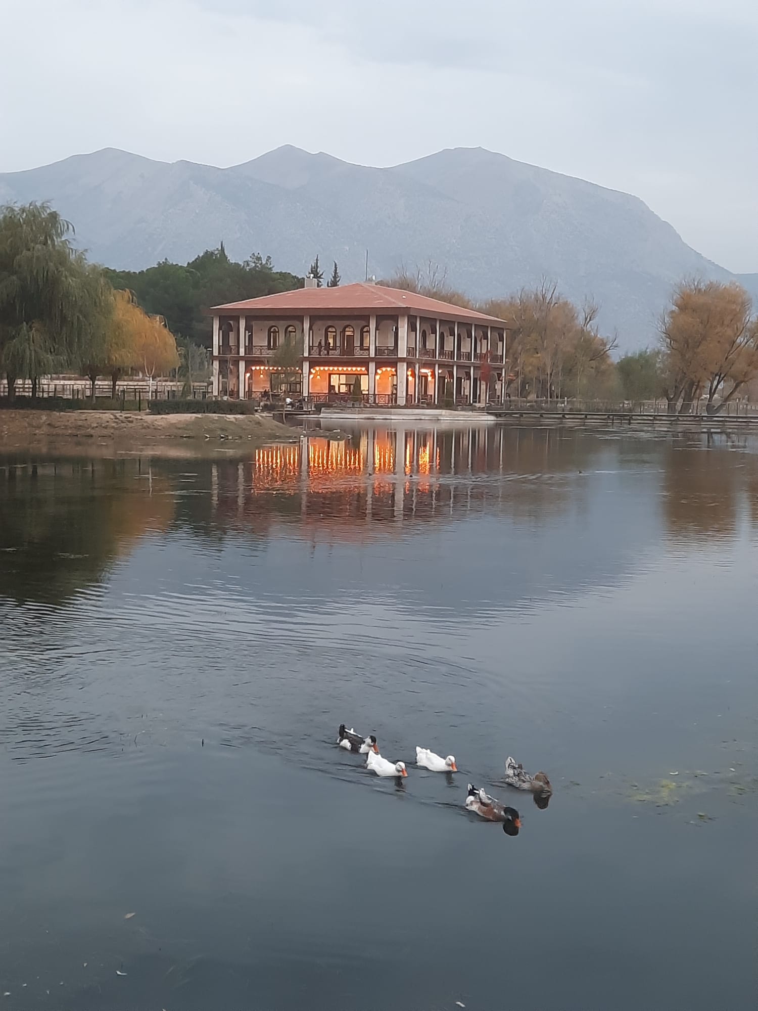 Whatsapp Image 2025 11 24 At 16.54.33