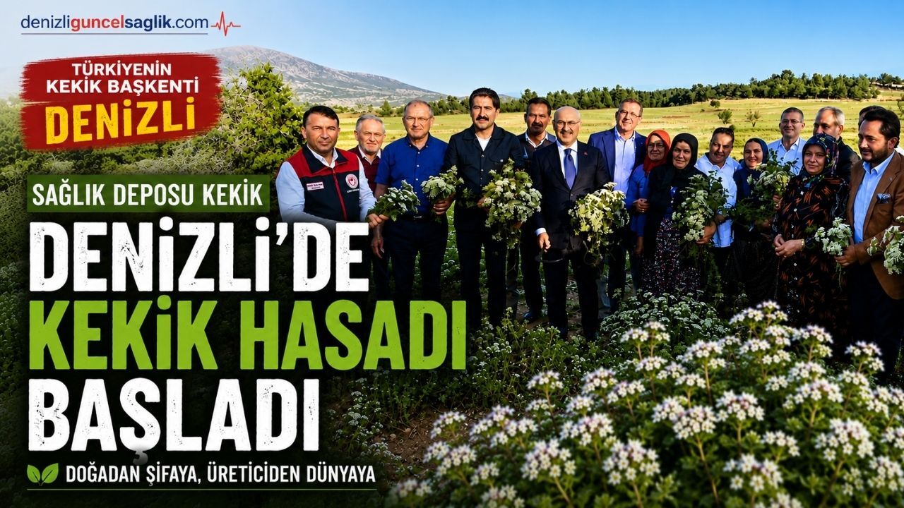 Türkiye'nin Kekik Başkenti Denizli'de Hasat Başladı