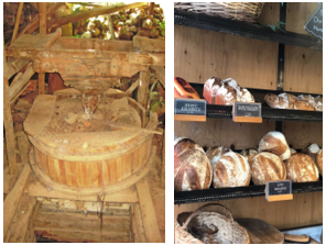 Beyağaç Mollaomar Değirmeni ve Geleneksel Undan Yapılmış Ekmekler